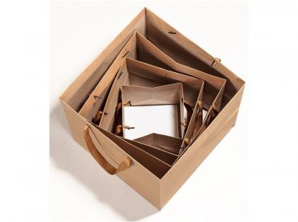 Kraft Paper Custom Size Bag With Handle