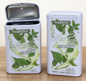 Custom Hinged Flip Top Rectangular Mint Tin Box